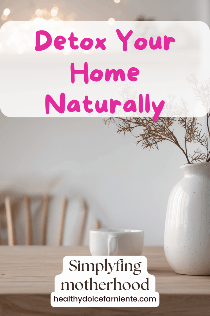 Guide to A Natural Home-Detox Tips for a Healthier Lifestyle