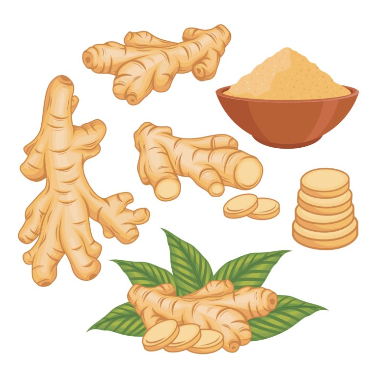 natural herbs in holistic living