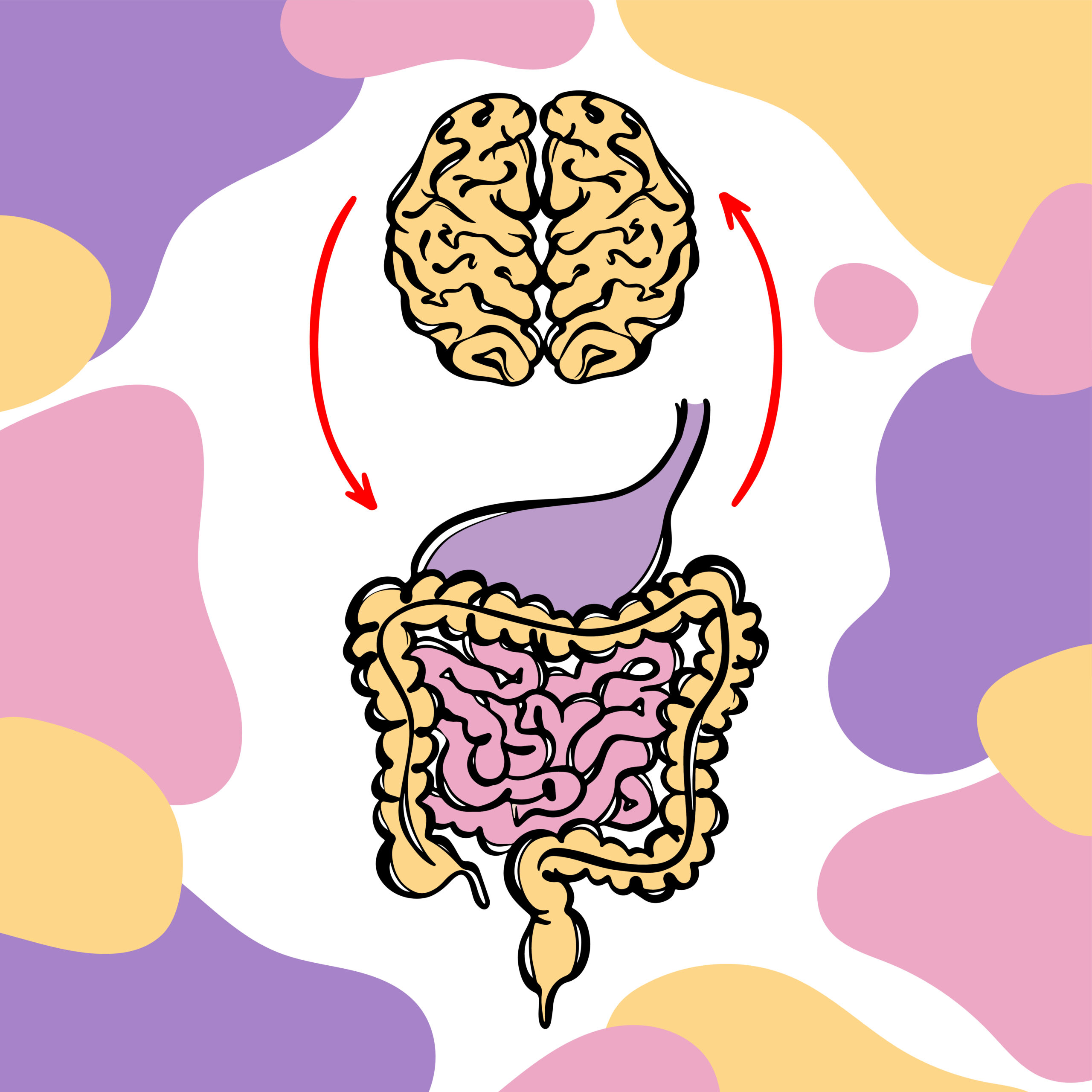 gut micorbiome