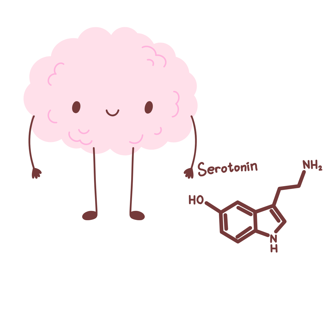 Your serotonin menu as a busy mom and the importance of circadian rhythm