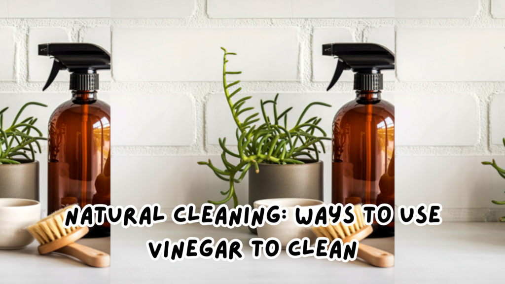 Natural Cleaning Ways to Use Vinegar to Clean