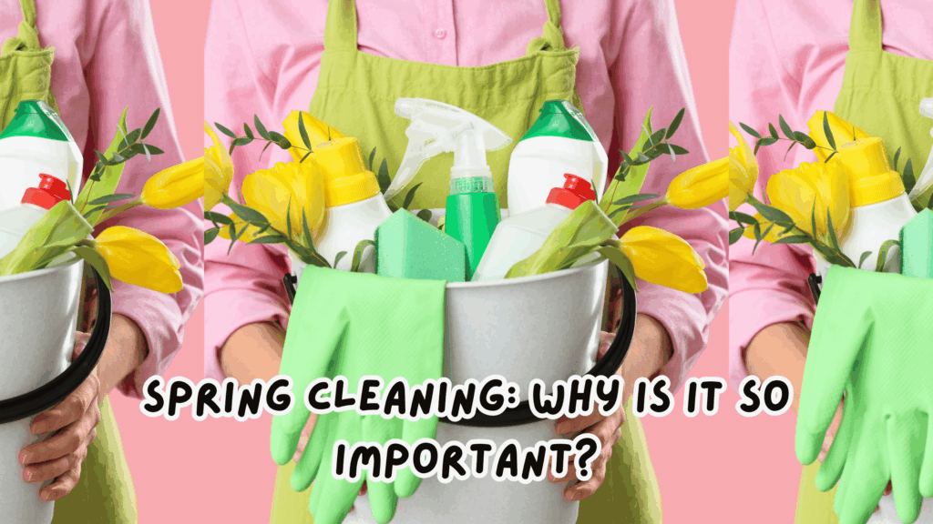 Spring Cleaning: Why Is It So Important?