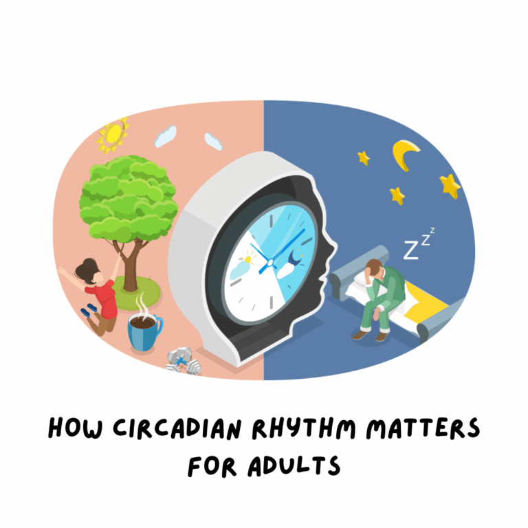 How Circadian Rhythm Matters for Adults
