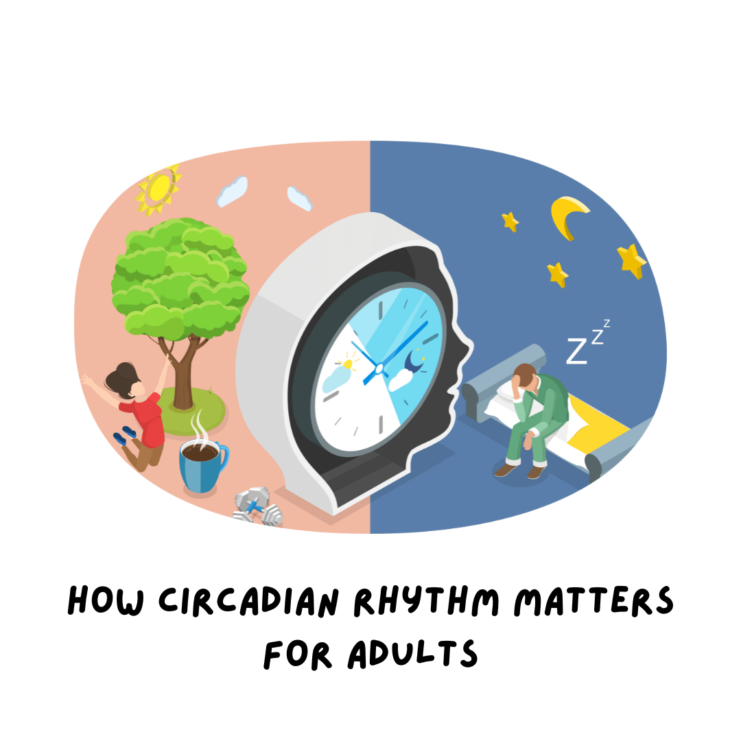 How Circadian Rhythm Matters for Adults