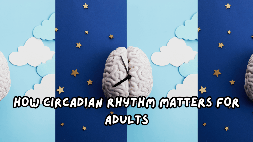 How Circadian Rhythm Matters for Adults