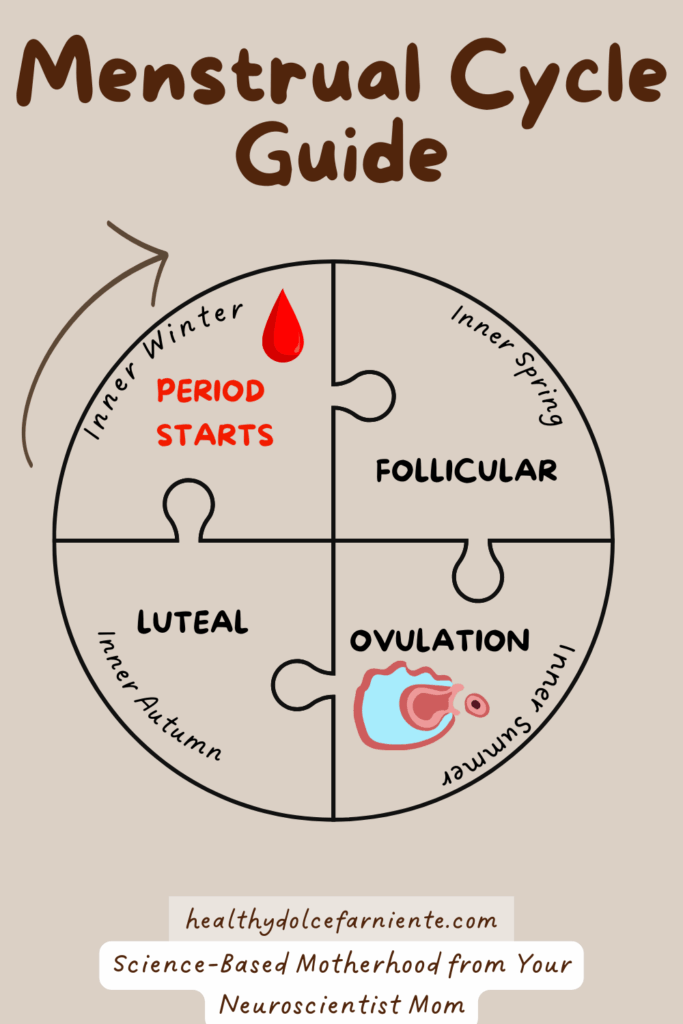Cycle Syncing Guide: The Four Phases of You Mnetsrual Cycle
