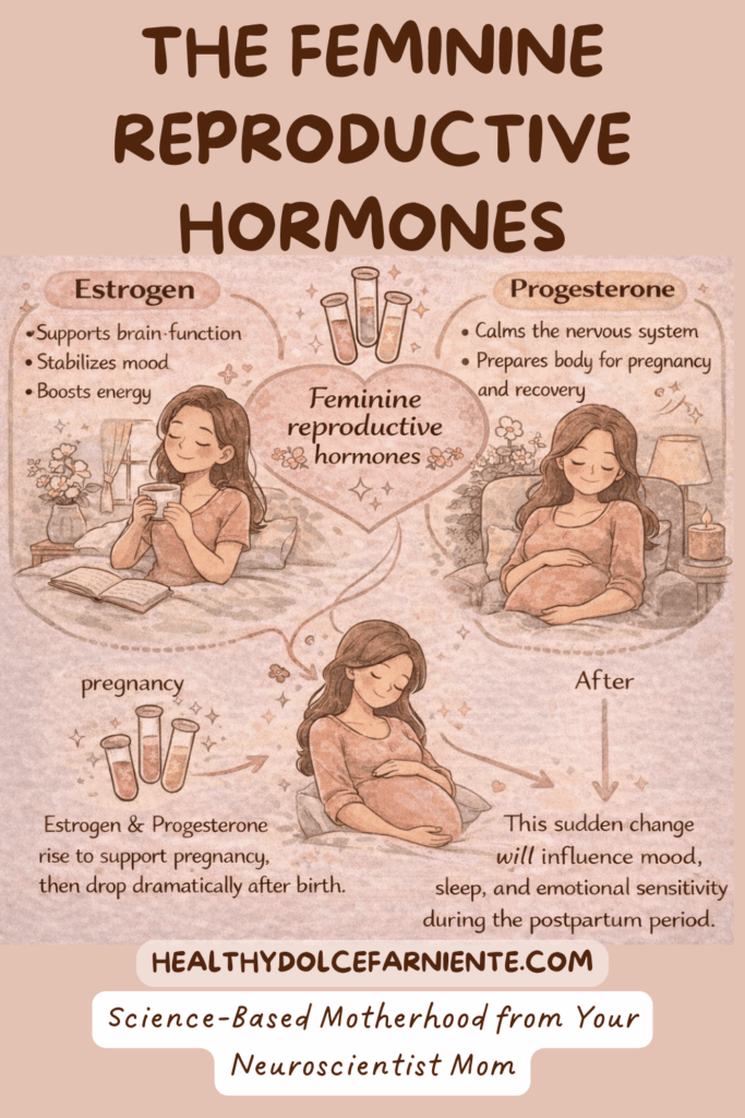 The feminine reproductive hormones