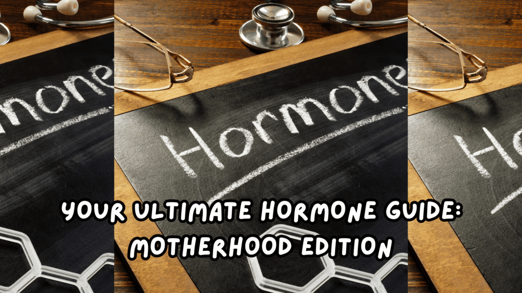 Your Ultimate Hormone Guide: Motherhood Edition